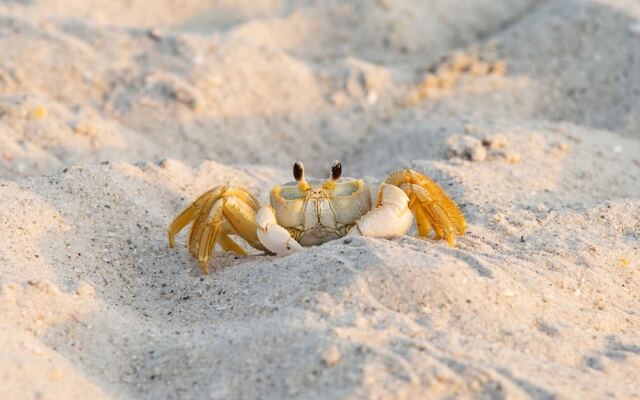 Sardinia Vacation Rental