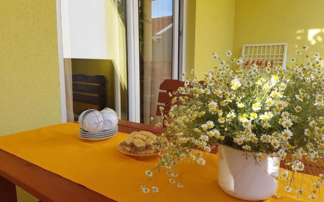 Apartments Anita Punta Skala