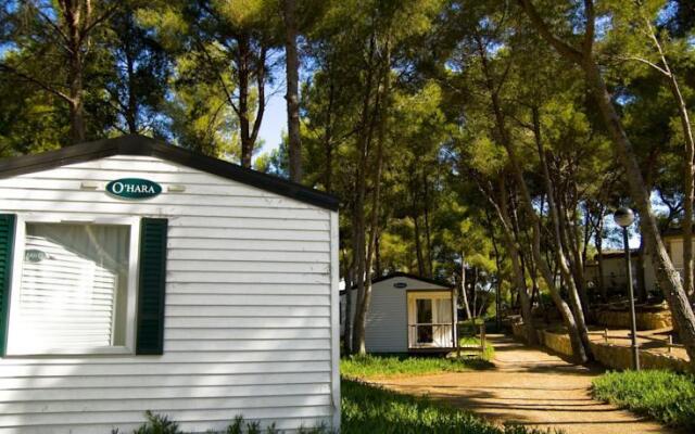 Las Palmeras Camping & Bungalow