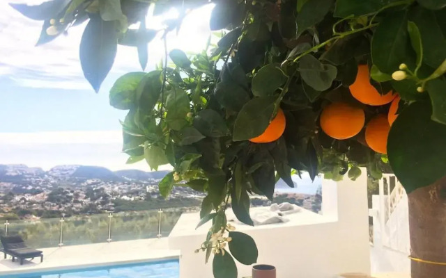 Casa Vida