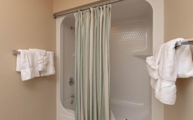 Phoenix IX by Brett Robinson