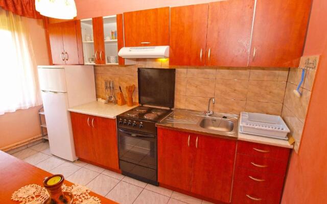 Apartment Branko 1142