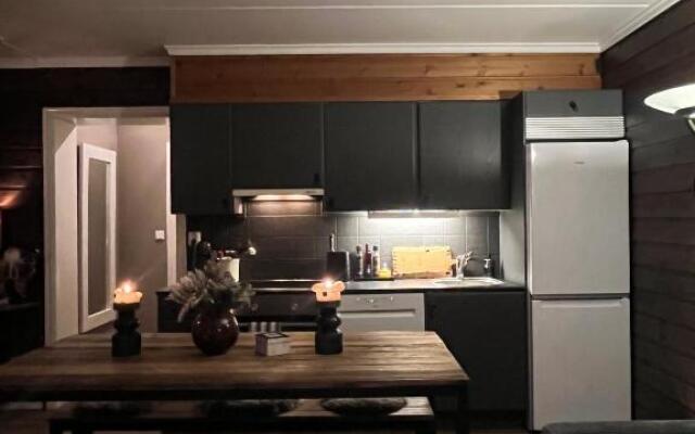 Nice apartment with Sauna and ski in out Trysil