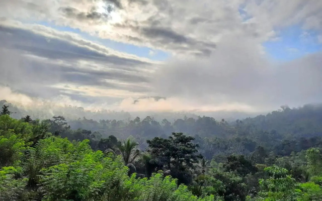 Rainforest Nature House