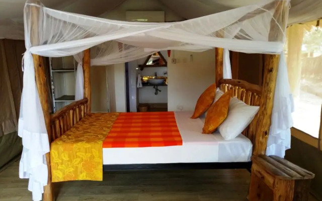 The Cradle Tented Camp