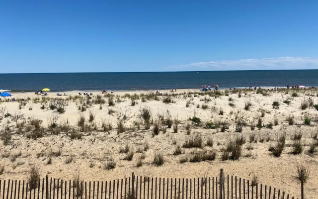 Beachcomber 5
