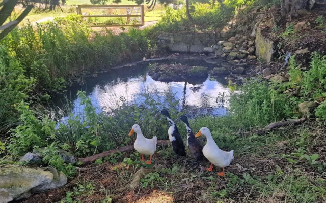 Sea View hut Sleeps 4/6