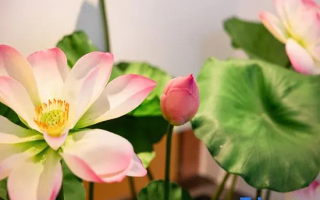 Yiduo Hotel (Longguang Provence Jiangnan Park Subway Station Branch)