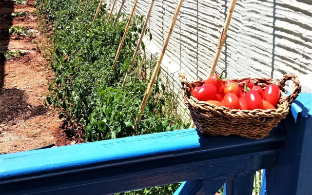 Allegria Family Hotel