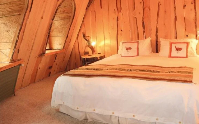 Huilo Huilo Montaña Magica