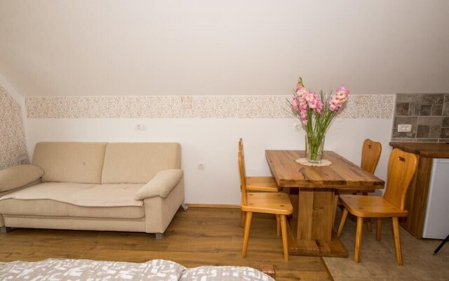 Vineyard cottage Rataj 2