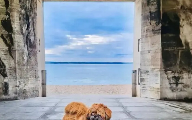 Seafront Apartment