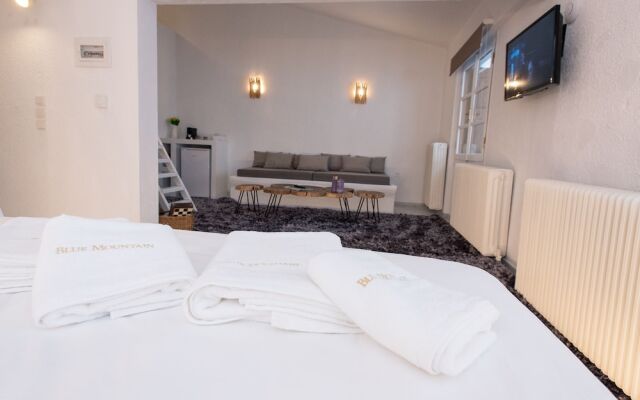 Blue Mountain Guesthouse Arachova