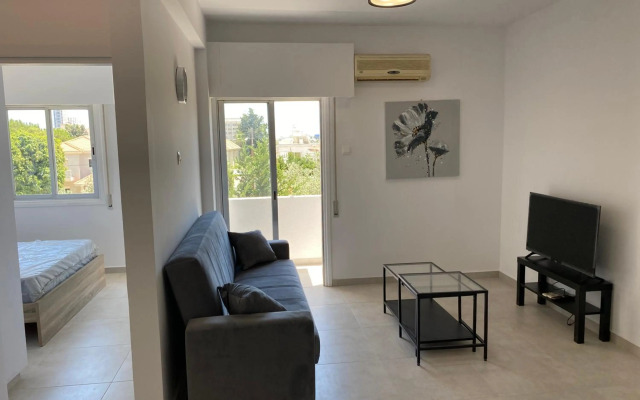 Renovated modern 1-bedroom apartment with view