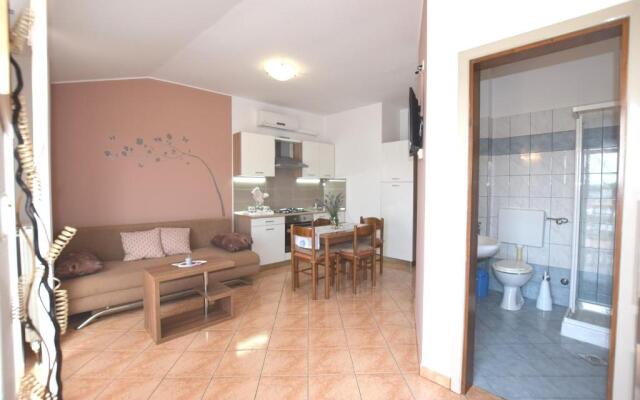 Apartments Petra