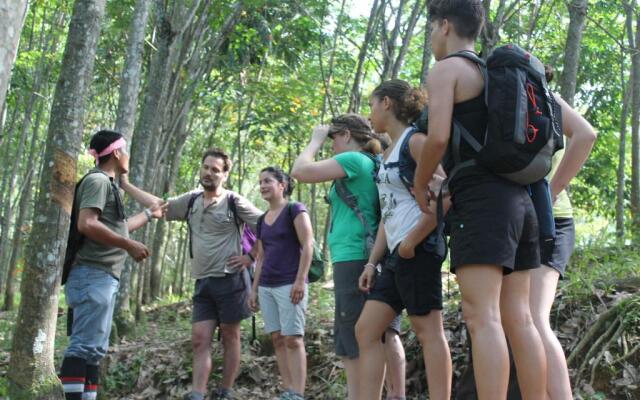 Rain Forest Guest House
