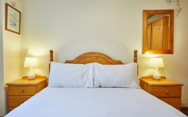 Host Stay Owl in Newton-on-rawcliffe