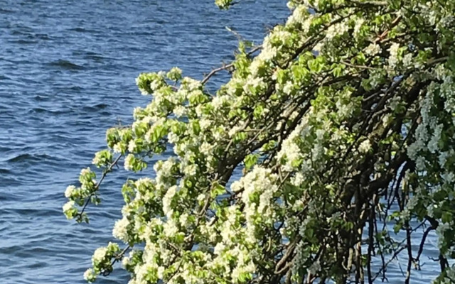 Raben Steinfeld Forststraße 3 Residenzpark