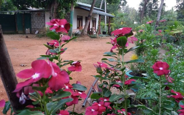 Sigiriya Pikaso Homestay