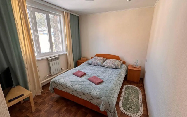 Кедр Золотой