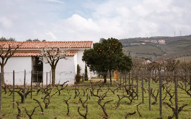 Imago Houses 1 - by MET