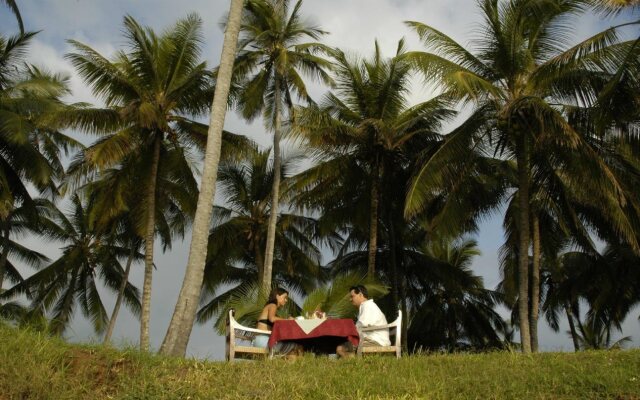 Serena Beach Resort and Spa