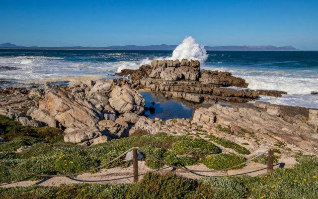 29@Whale Rock Estate