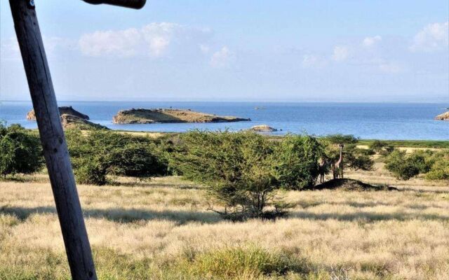 Africa Safari Lake Natron