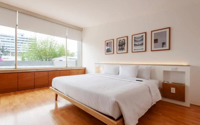Beautiful 3BR in Condesa