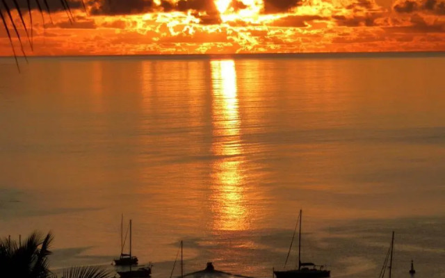 Studio Malacca et Malanga- Ô Cœur de Deshaies