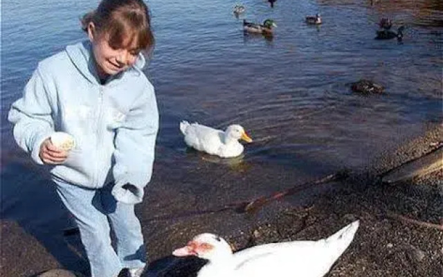 Riverside Resort & Conference Centre