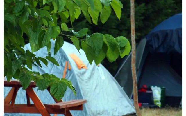 Camping Maceira