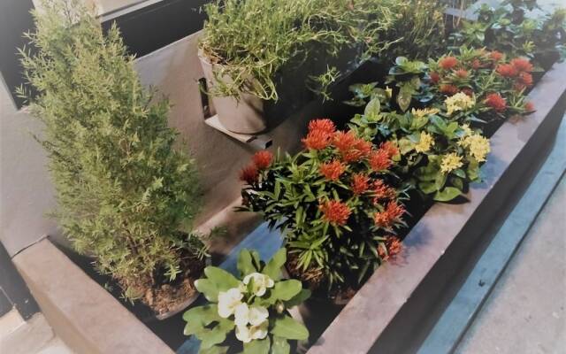 Live like a local in Ekkamai