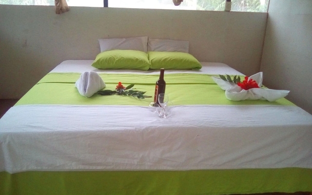 Amazon Canopy Expeditions Ecolodge
