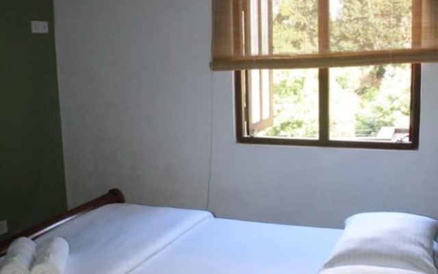 Self Cate Luxury Hostel