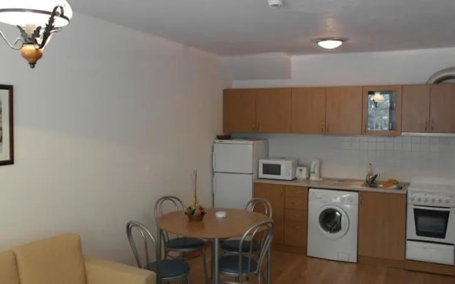 Christina Apartment in Laplandia