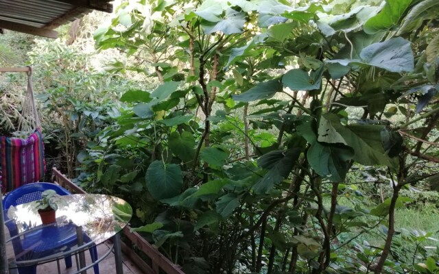 Vista Al Golffo B&B
