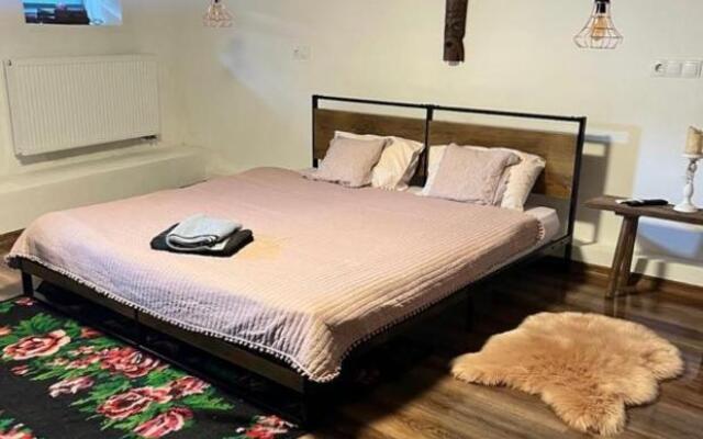 Cozy Contemporary Saxon Apartment