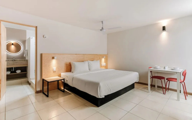 Pájaros by Homirent