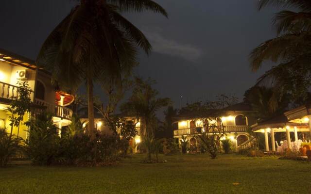 Bougain Villa by Tree