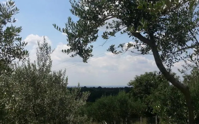 Casa vacanza Gallicano nel Lazio