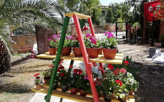 Green House Boğaziçi – Dodo House