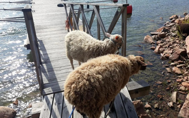 Björkholm Mökit