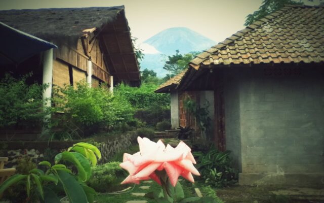 Pondok Bamboo Sendangsari