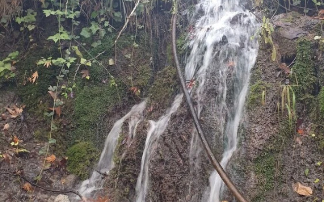 Zeyve Lavanta Tatil Köyü