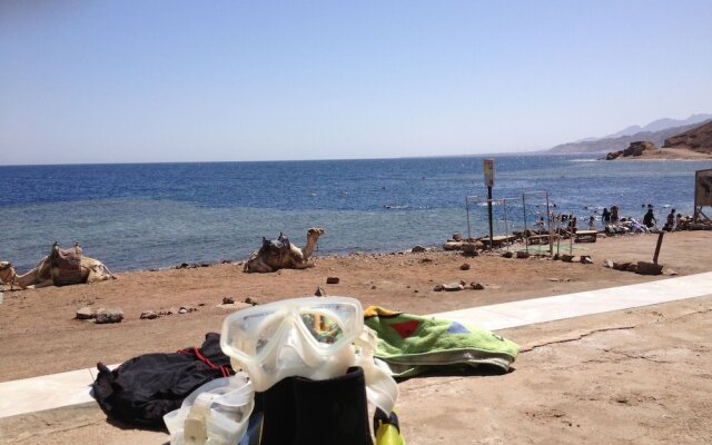 Inmo Divers home