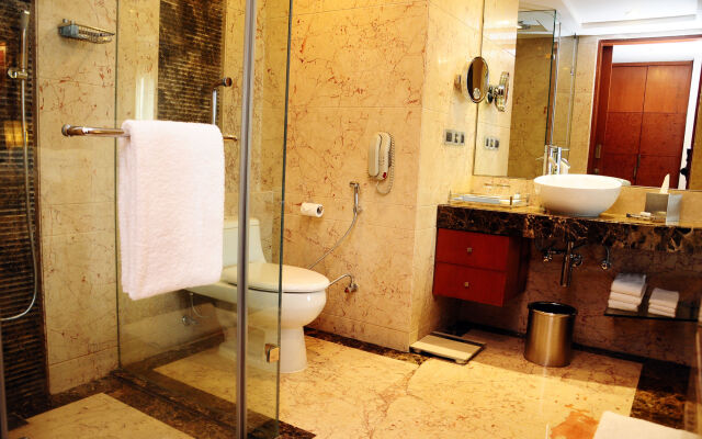 Radisson Blu Plaza Delhi Airport