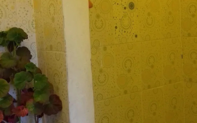 Hostal Piedra Andina