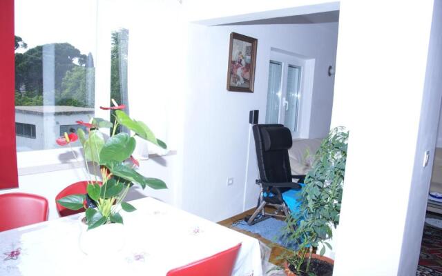 Apartment Jasovic