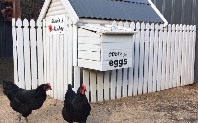 Thelma's Temora